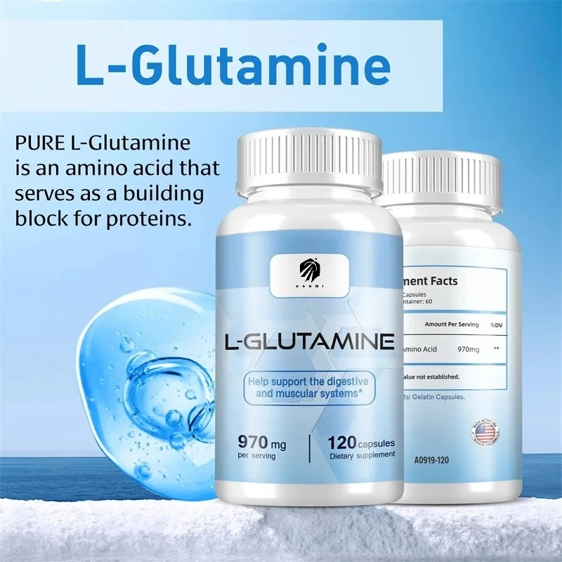 L-Glutamin-Ergänzungsmittel fü – Nutrition Fitness Supplements Bewertung und Preis