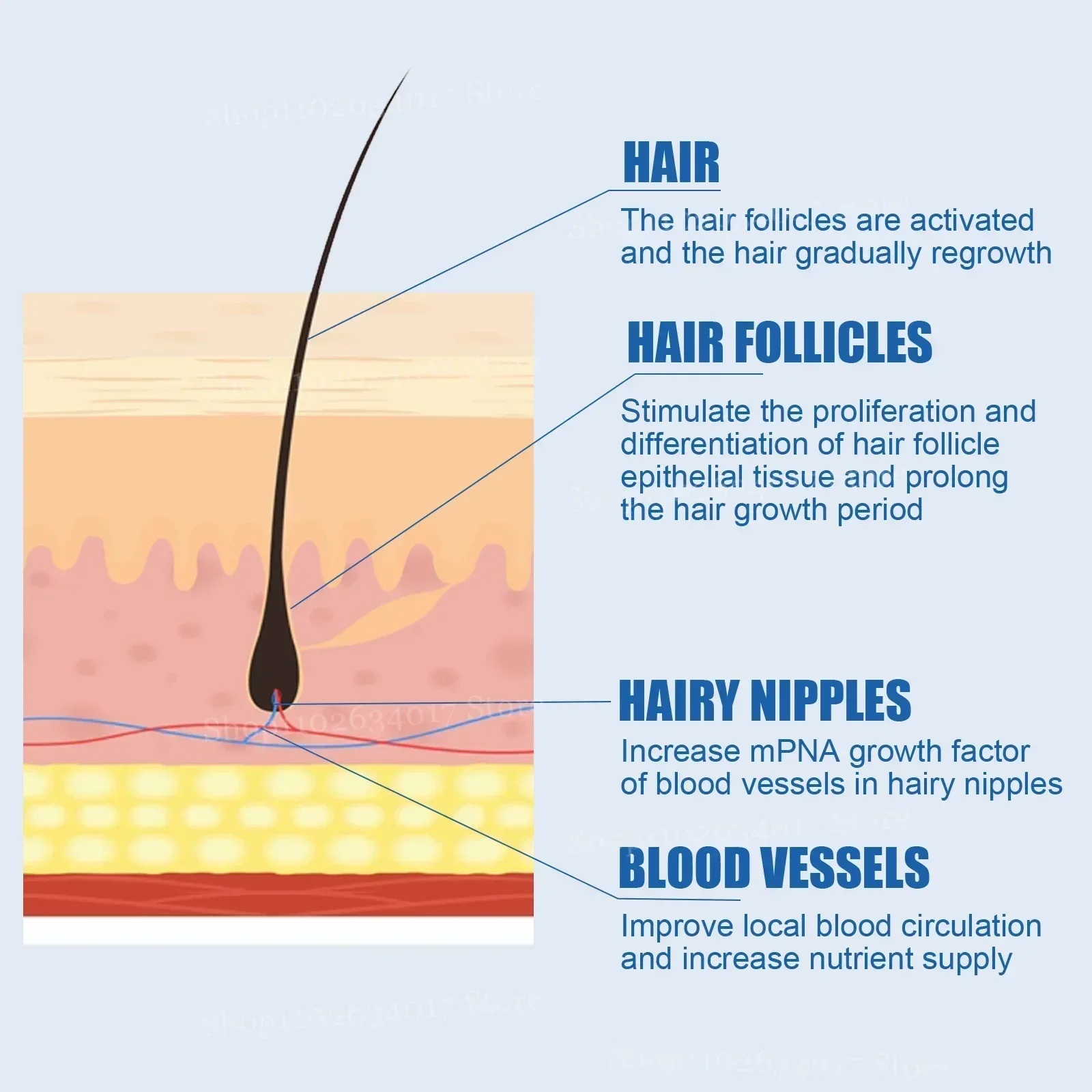1ST Stärktes Haar, nährt die K – Biotin Hair Growth Bewertung und Preis