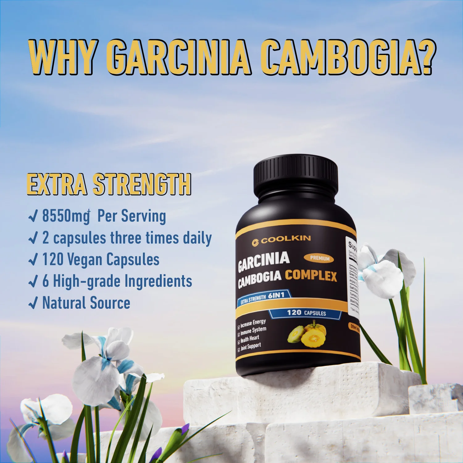 Garcinia Cambogia - Fat burner – Garcinia Cambogia Extract Bewertung und Preis