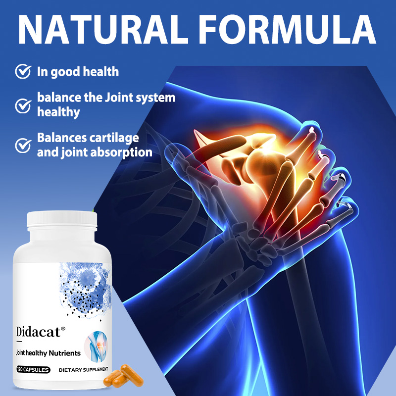 Glucosamin Chondroitin MSM mit – Turmeric Curcumin Capsule Bewertung und Preis