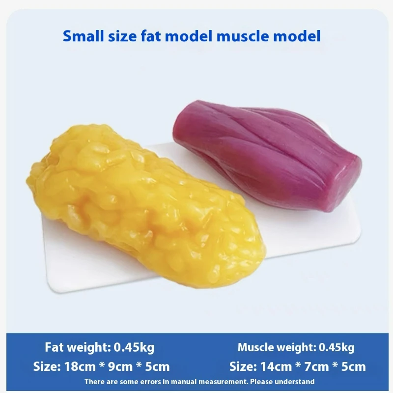Menschliche Muskel- und Fettre – Nutrition For Fitness Bewertung und Preis